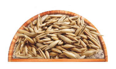 Изображение 11