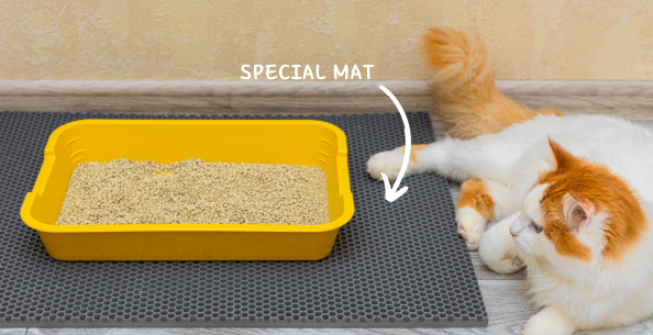 Cat toilet: how to ensure owner's comfort?