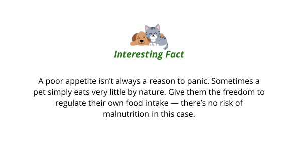 How do pets choose their food?
