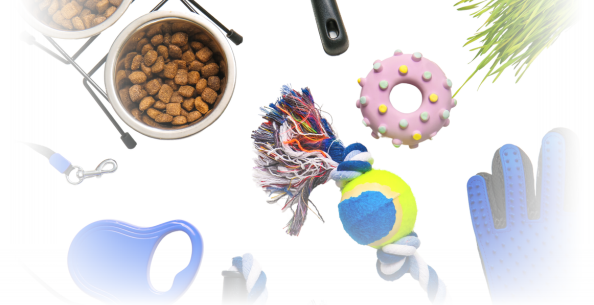 Top 9 essentials for a puppy